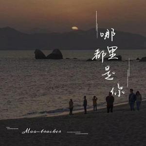 国产➕喷水➕白浆➕破解版软件
