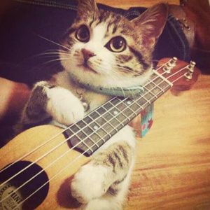 国产➕喷水➕白浆➕破解版软件
