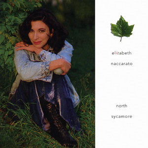 国产➕喷水➕白浆➕破解版软件
